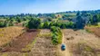 Prime Residential Plot for Sale in Kikuyu, Ng'amba - 2