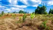 Prime Residential Plot for Sale in Kikuyu, Ng'amba - 4