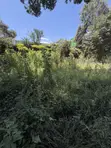0.5 Acre Commercial Land for Rent - Karen, Ngong Road - 1