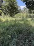 0.5 Acre Commercial Land for Rent - Karen, Ngong Road - 2