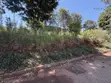 0.5 Acre Commercial Land for Rent - Karen, Ngong Road - 3