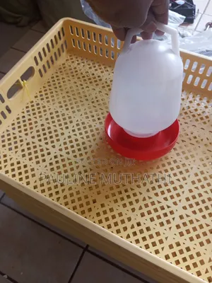 Incubator Hatching Baskets (88 Eggs)