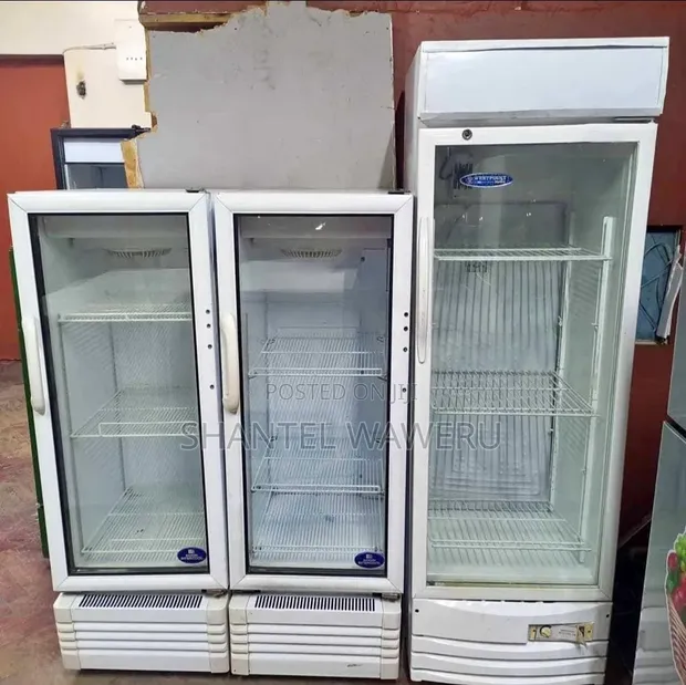 Display Chiller Fridge - Medium Sizes - 1