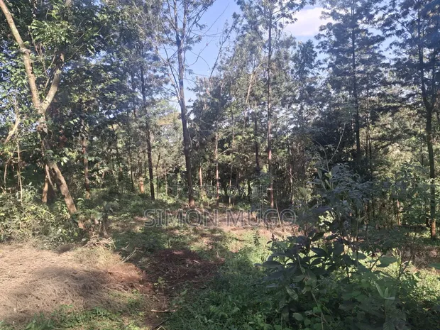 Mwimuto Prime Commercial/Residential Plot - 50x100 Freehold - 1