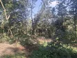 Mwimuto Prime Commercial/Residential Plot - 50x100 Freehold - 1