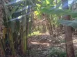 Mwimuto Prime Commercial/Residential Plot - 50x100 Freehold - 3