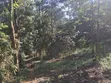 Mwimuto Prime Commercial/Residential Plot - 50x100 Freehold - 4