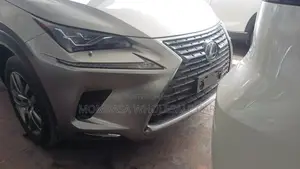 Lexus RX 2019 Kijivu