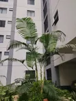 2 Bedroom Apartment for Rent in Winchester Garden, Riverside Estate - 4
