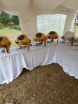 Exceptional Caterers and Events - Catering ya Nje - 1