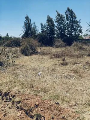 Kitengela Muigai Estate Roadfront 50x100 Plot for Sale