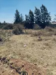Kitengela Muigai Estate Roadfront 50x100 Plot for Sale - 1
