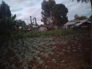 3754 Sq Ft Mixed-use Land for Sale in Kabare