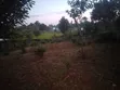 3754 Sq Ft Mixed-use Land for Sale in Kabare - 2