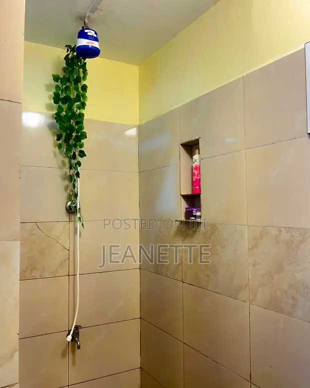 Furnished Studio Apartment in Karen - 1
