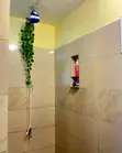Furnished Studio Apartment in Karen - 1