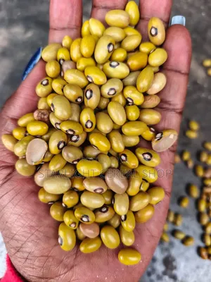 Quality Yellow Beans - 1kg