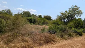 Prime Industrial Land Opposite Airport, Nairobi
