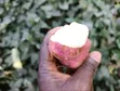 American Sweet Potato Cuttings (Orange Flesh) - 3