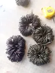 Good Quality Round Curtain Drapery Rings - 1