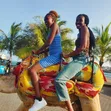 Kifee Adventures: Coastal Tours, Excursions & Accommodation - 2