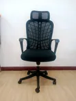 Ergonomic Mesh Office Chair - 1