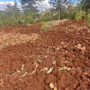 1.25 Acres Land for Sale in Mbombo Area, Maragua