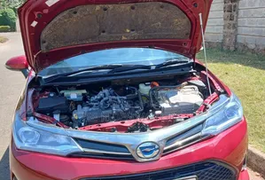 Toyota Corolla Fielder WXB Hybrid 2019
