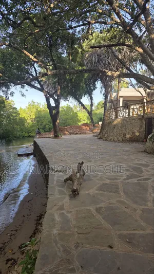 Prime Quarter Acre Plots for Sale in Shanzu by the Creek