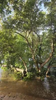 Prime Quarter Acre Plots for Sale in Shanzu by the Creek - 2