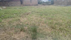50x100ft Prime Plots for Sale in Ongata Rongai Gataka Road
