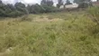 100x100ft Commercial Plots for Sale, Ongata Rongai - 2