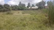 100x100ft Commercial Plots for Sale, Ongata Rongai - 3