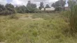 100x100ft Commercial Plots for Sale, Ongata Rongai - 4