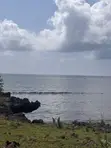 1 Acre Beachfront Plot for Sale, Msambweni - 2