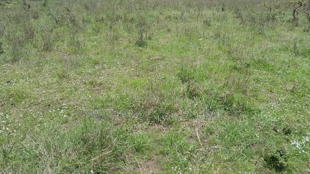 1/2 Acre Prime Land for Sale in Ongata Rongai, Maasai Lodge - 1