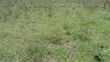 1/2 Acre Prime Land for Sale in Ongata Rongai, Maasai Lodge - 1