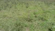 1/2 Acre Prime Land for Sale in Ongata Rongai, Maasai Lodge - 2