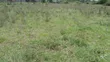 1/2 Acre Prime Land for Sale in Ongata Rongai, Maasai Lodge - 3