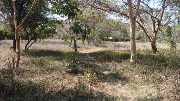 1/4 Acre Prime Plots for Sale in Ongata Rongai Town - 1