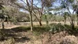 1/4 Acre Prime Plots for Sale in Ongata Rongai Town - 4