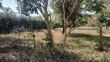 1/4 Acre Prime Plots for Sale in Ongata Rongai Town - 5