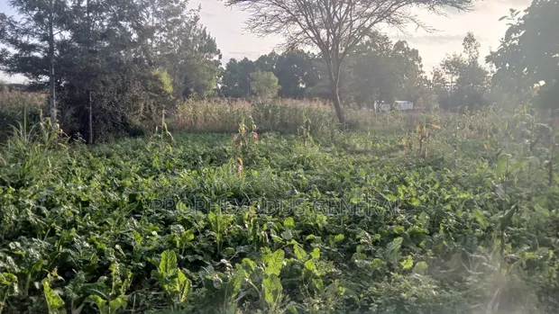 1/8 Acre Prime Plots for Sale in Ongata Rongai Rimpa - 1