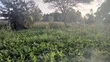 1/8 Acre Prime Plots for Sale in Ongata Rongai Rimpa - 2
