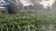 1/8 Acre Prime Plots for Sale in Ongata Rongai Rimpa - 3