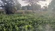 1/8 Acre Prime Plots for Sale in Ongata Rongai Rimpa - 4