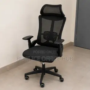 Ergonomic Mesh Office Chair with Headrest - Black