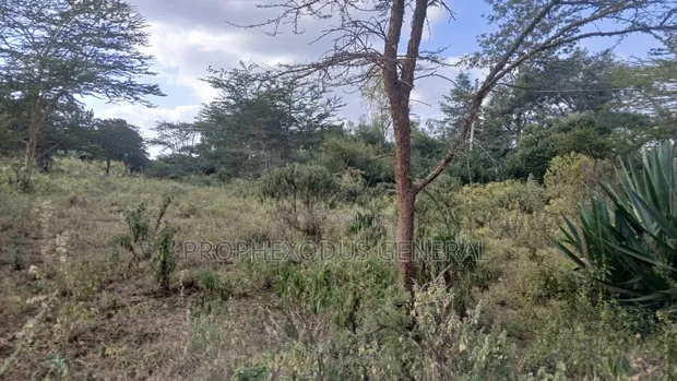 1/8 Acre Plots for Sale in Ongata Rongai Nkoroi - 1