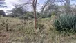 1/8 Acre Plots for Sale in Ongata Rongai Nkoroi - 3