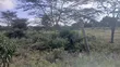 1/8 Acre Plots for Sale in Ongata Rongai Nkoroi - 4